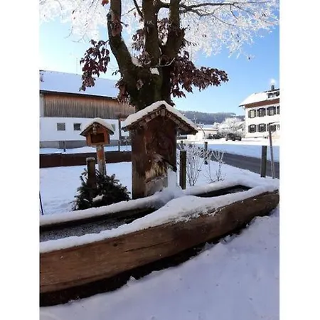 Daire At Gallus - Wetterstein *
