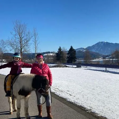 At Gallus - Wetterstein Daire *