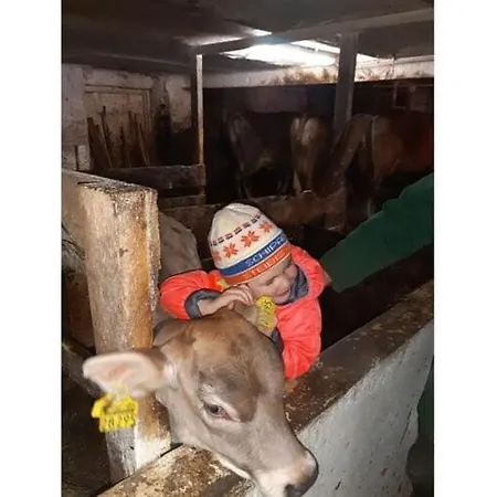 At Gallus - Wetterstein Apartment *