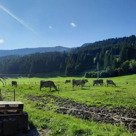 At Gallus - Wetterstein * Oberstaufen