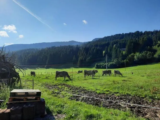 At Gallus - Wetterstein * Oberstaufen